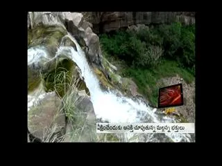 srinagar city forest in srisailam became picnic spot - Sakshi
