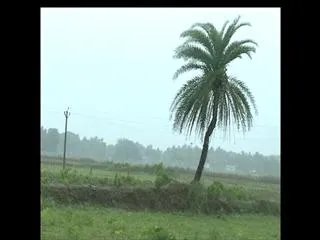 Pouncing on the coastal areas of the hudood - Sakshi