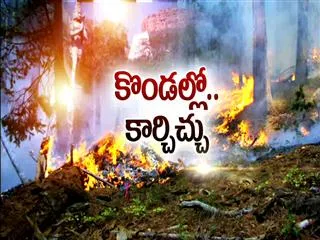 Special Edition - IAF joins operation to douse Tirumala fire - Sakshi