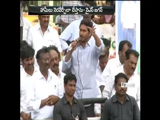 Will hold dharna in delhi if centre do not come down on special status : YS Jagan Mohan reddy - Sakshi