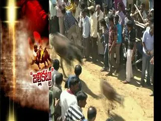 Special drive on Assures Steps for Conducting 'Jallikattu' - Sakshi
