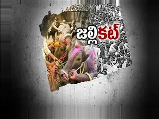 Supreme Court Orders to stop 'Jalli Kattu' - Sakshi