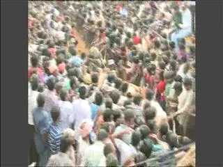supreme court stands up for animal rights bans jallikattu - Sakshi