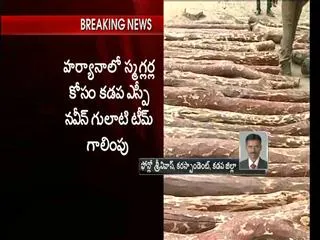 Red sander smuggler Mukheshbalani arrested - Sakshi