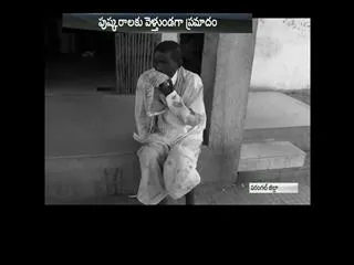 Car overturns in Warangal,15 injured - Sakshi