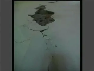 earthquake in kashmir doda district - Sakshi