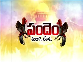 Breakfast show : Cock Fighting History - Sakshi