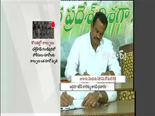 Rumour : Daily Program in Sakshi - Sakshi