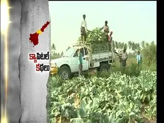 Land pooling: Farmers in confusion - Sakshi