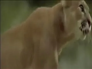 struggle for existence - Sakshi