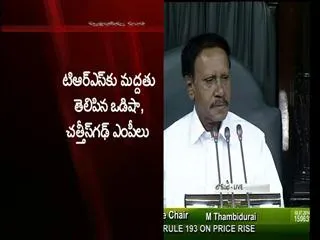 TRS leaders protests in Lok Sabha against ordinance on Polavaram - Sakshi