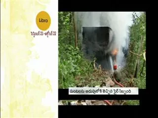 Lorry fell into a gorge in Nallamala forest - Sakshi