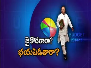 Budeget 2014-15 : Preview - Sakshi