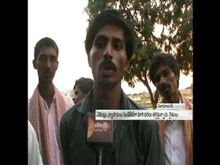 Farmers did not get Preposterous cost price over Mangoes - Sakshi