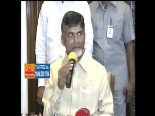 i dont know about pawan diologues: chandrababu - Sakshi
