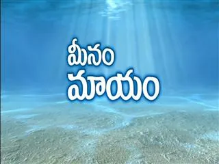 magazine story - meenam maayam - Sakshi