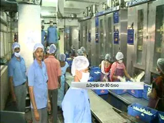 Telangana government concentrates on milk production - Sakshi