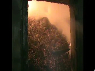 Fire accident in rentachintala palnadu cold storage - Sakshi