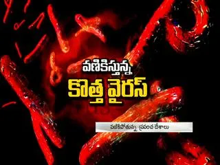 New York patient 'unlikely to have Ebola - Sakshi