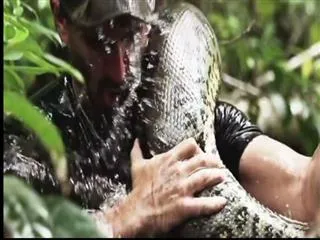 Special Story on Discovery program eaten alive - Sakshi