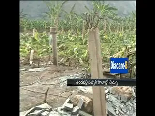 No arrests in banana fields' fire case in AP caital area - Sakshi