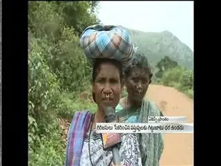 world tribal day - Sakshi