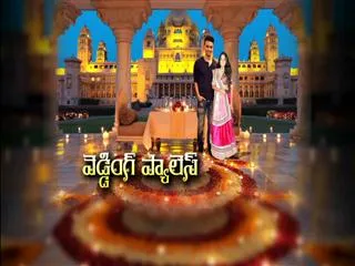 All you want to know about Salman Khan's sister's wedding - Sakshi
