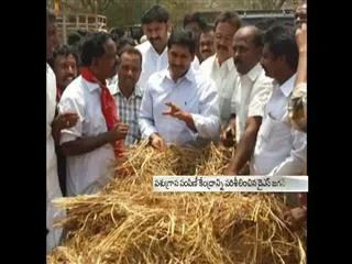jagan visits foodgraincentre in Anantapoor - Sakshi
