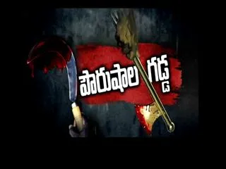 pourushala gadda- special edition - Sakshi