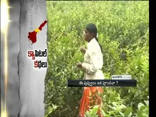 Capital land pooling: Disadvantage farmers? - Sakshi
