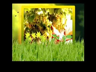 Raitu rajyam 6th November 2014 - Sakshi