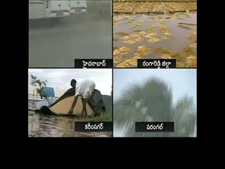 Untimely Rain damaged crops in Telangana - Sakshi