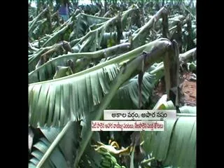 Hailstorm causes havoc in Hyderabad - Sakshi
