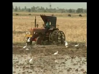 Kharif sowing much lower than last year - Sakshi
