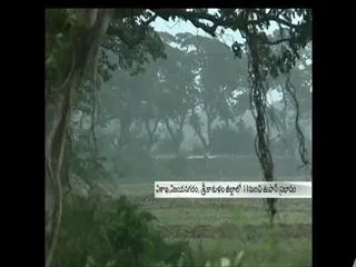 Hudhud, new cyclone threat to AP and Odisha coast - Sakshi