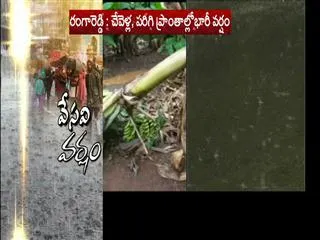 unseasonal rains hit agriculture - Sakshi