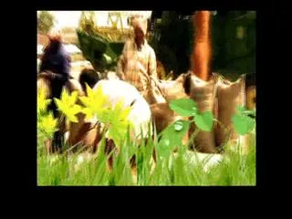 Raithu Rajyam 1st April 2015 - Sakshi