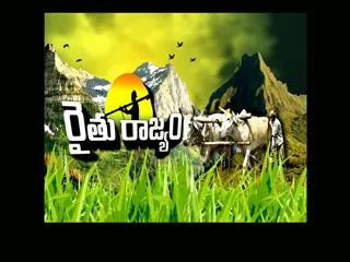 Raithu Rajyam 24th Oct 2014 - Sakshi
