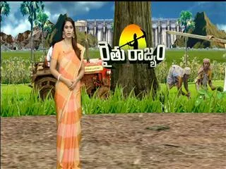 Raithu Rajyam 23rd Sept 2014 - Sakshi