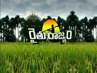 Raithu Rajyam 8th Oct 2014 - Sakshi