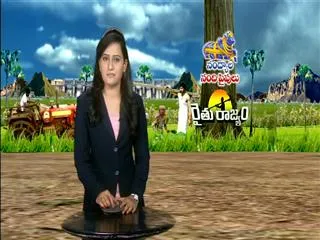 Raithu Rajyam 1st July 2015 - Sakshi