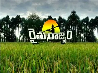 Raitu Rajyam 5th Jan 2015 - Sakshi