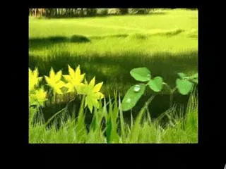 Raitu rajyam 7th November 2014 - Sakshi