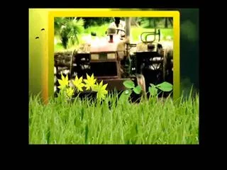 Raitu rajyam 5th November 2014 - Sakshi