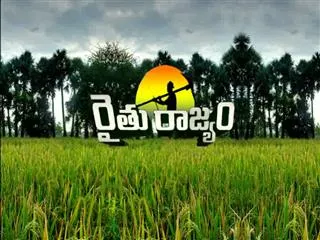 Raitu Rajyam 19th March 2015 - Sakshi