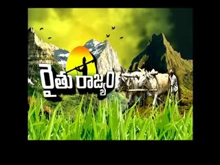 Raitu rajyam 29th December 2014 - Sakshi
