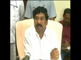 five killed with swine flu virusin telangana says diputy cm rajaiah - Sakshi