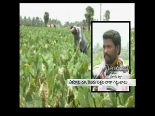 Raitu rajyam 21st November 2014 - Sakshi