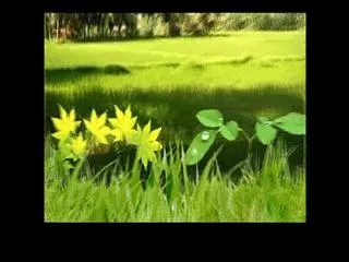 Raitu rajyam 17th October 2014 - Sakshi