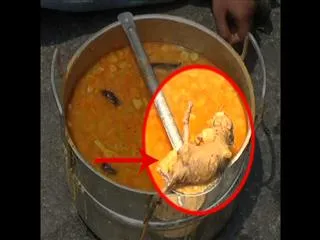 Dead rat found in mid-day meal - Sakshi